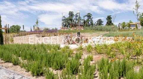 Photo 5 of Flat for sale in Calle Catamarán, Alameda de Osuna, Madrid Capital