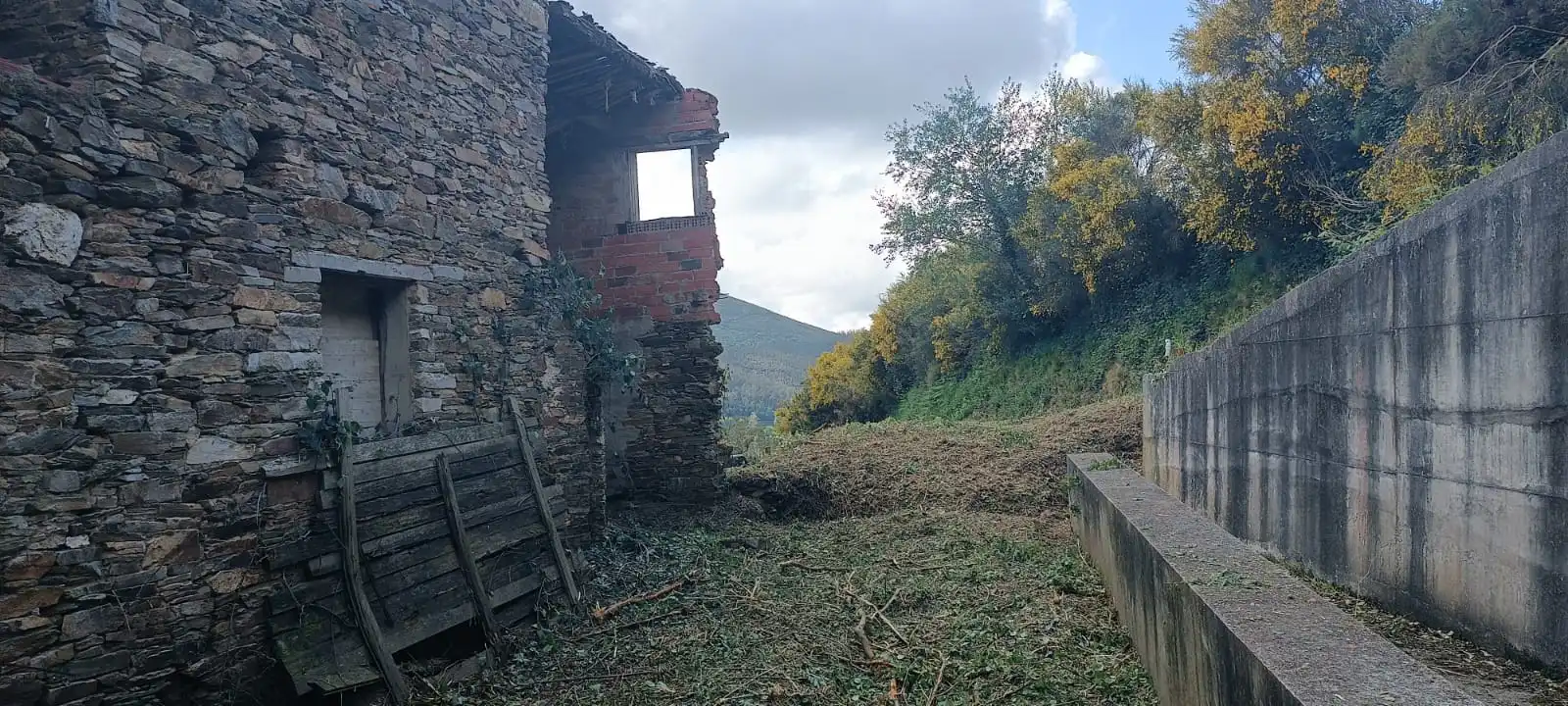 Vista exterior de Finca rústica en venta en Vegadeo