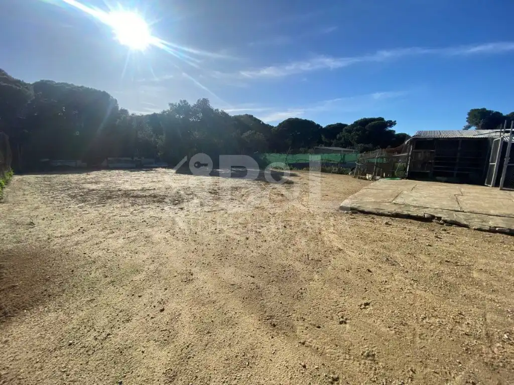 Finca rústica en venta en Gibraleón