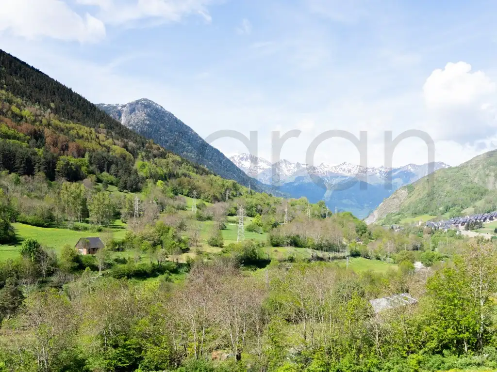 Apartamento en venta en Naut Aran