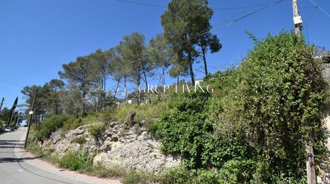 TERRENO EN MAS MESTRE, OLIVELLA, immagine 2