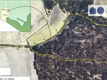 Terreno rustico in vendita a Moguer