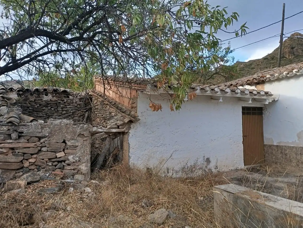 Vista exterior de Finca rústica en venda en Bédar amb Jardí privat i Terrassa