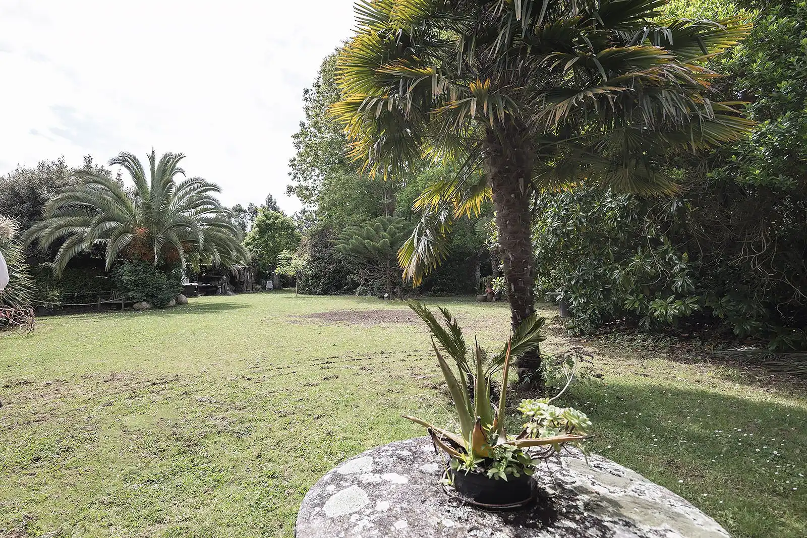 Garden of Houses for sale in Oleiros  with Heating, Private garden and Terrace