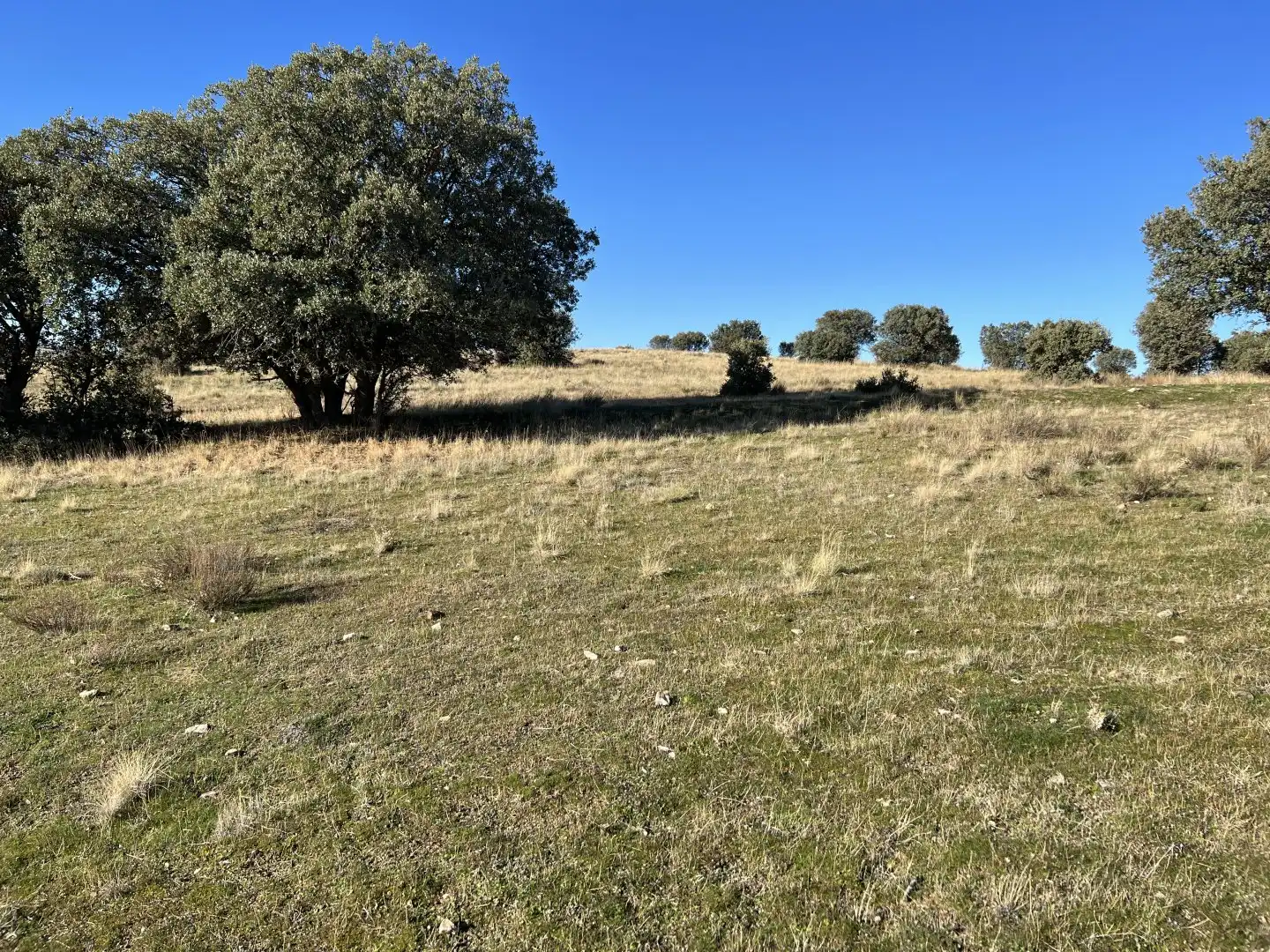 Terrenys i solars en venda a Villacastín, imagen 16