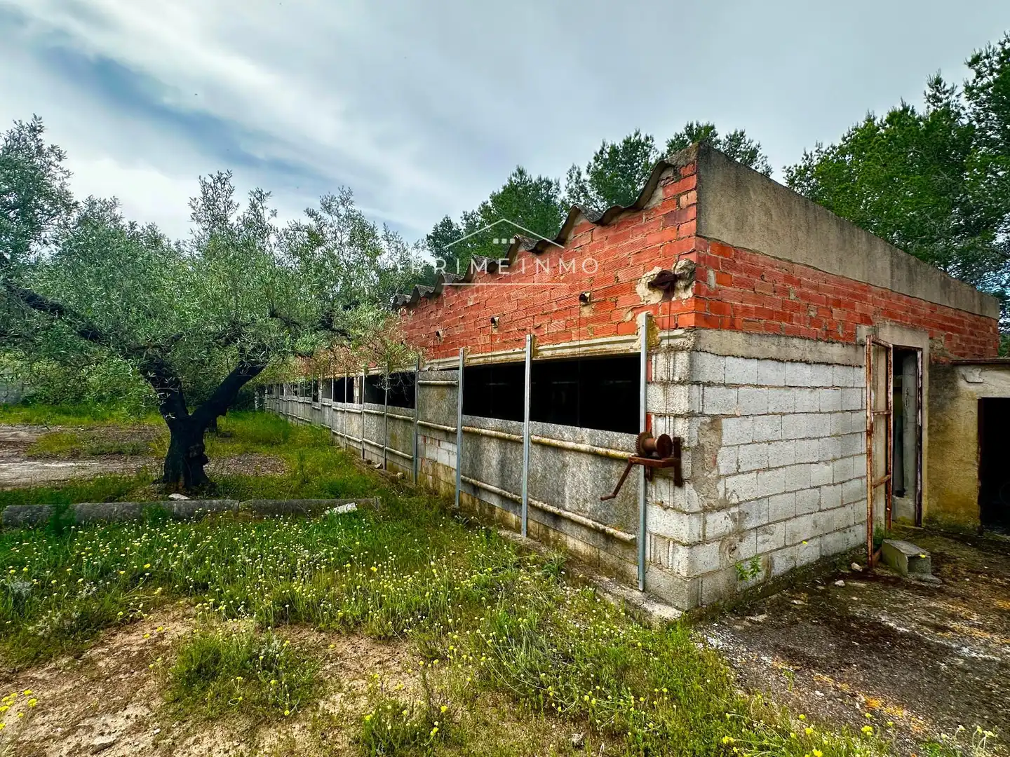 Terreno rústico en venta en Tivissa, imagen 32