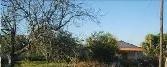 Terrain rustique à vendre à El Llombo, imagen 3