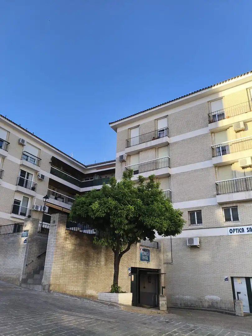 Wohnung mit Terrasse zum Verkauf in Centro, imagen 8