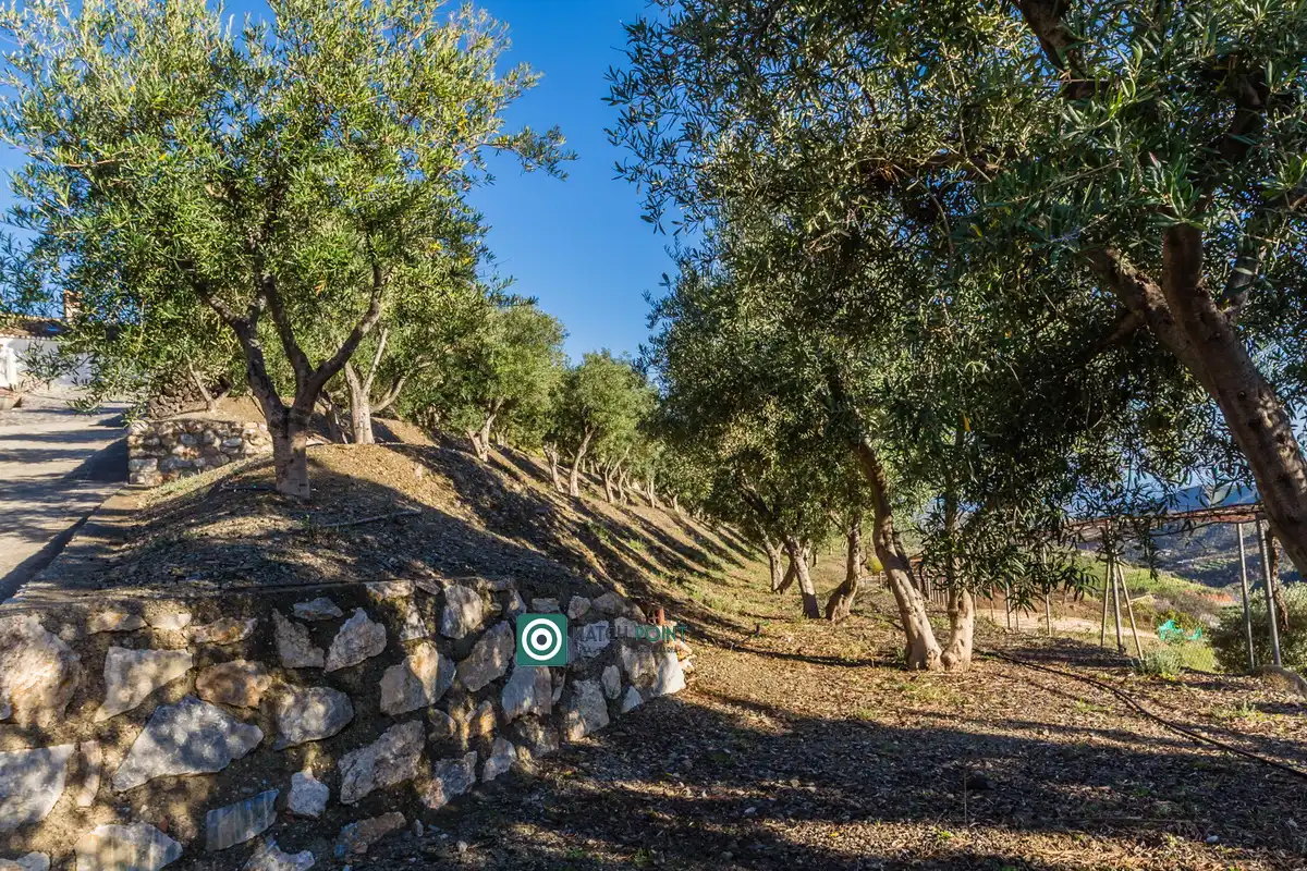Maison à vendre à Calle Cuesta el Coronel, imagen 80