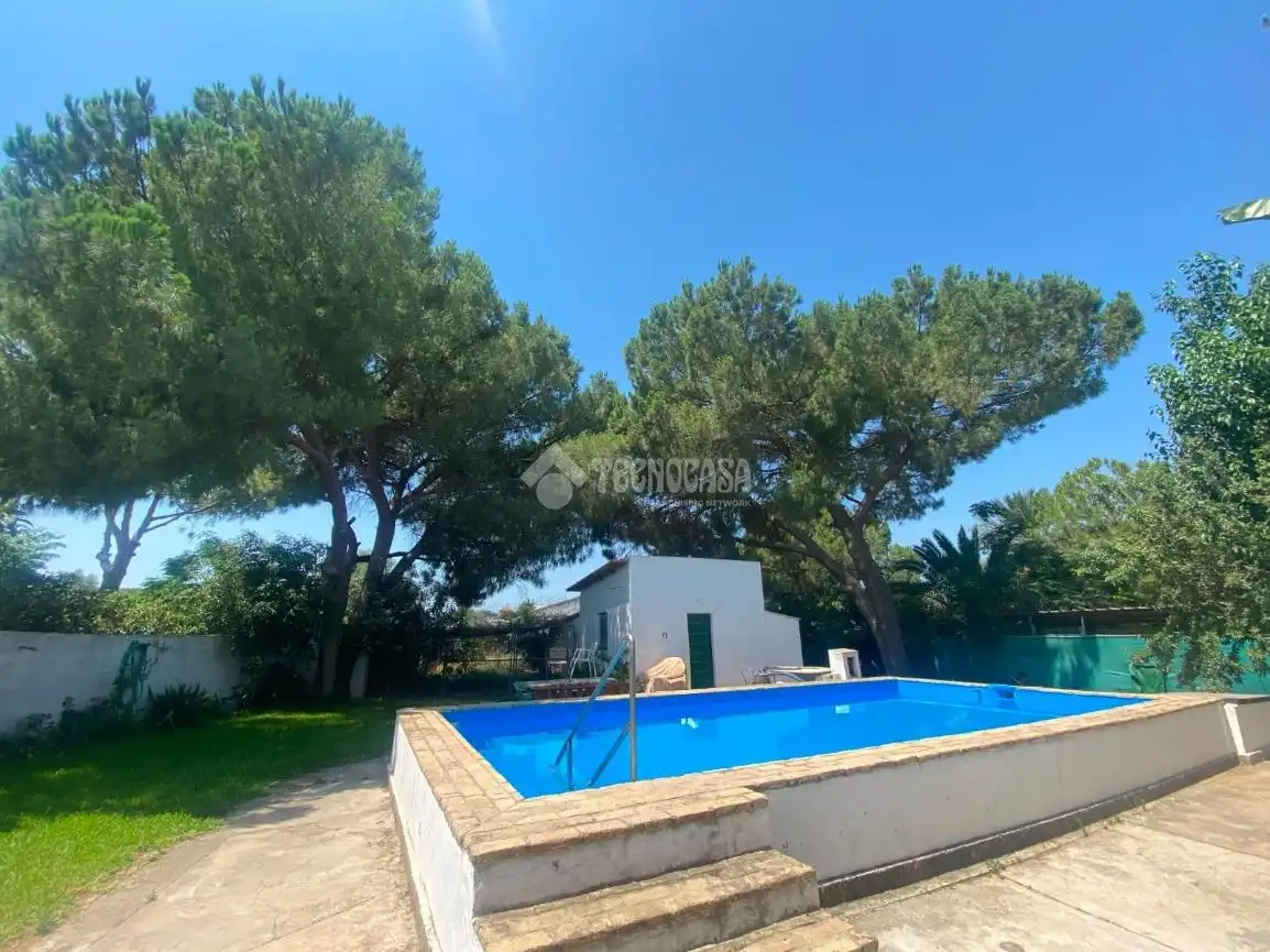 Swimming pool of Country homes for sale in Dos Hermanas