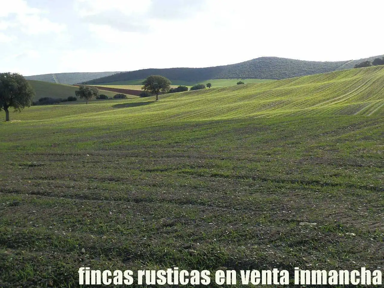 Terreny rústic en venda a Viso del Marqués, imagen 4