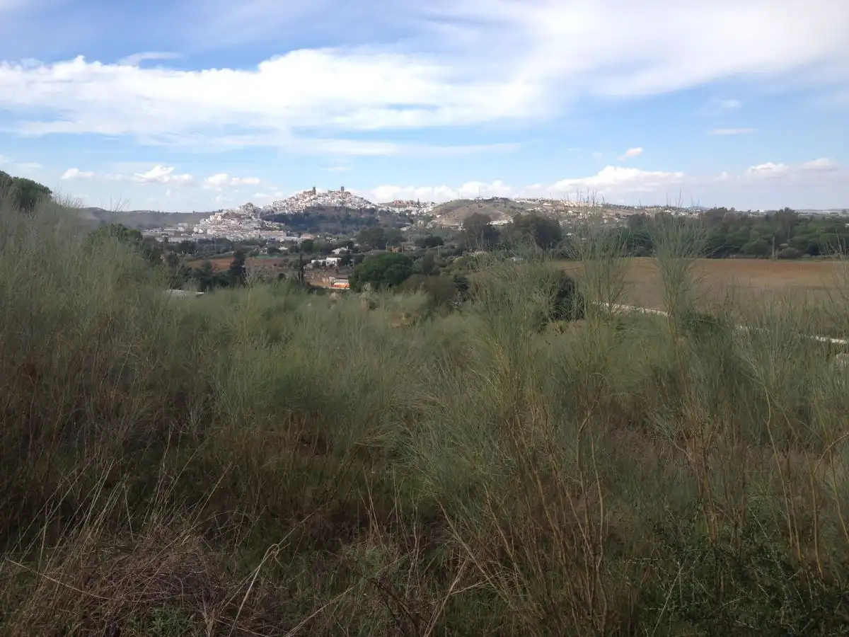 Terreno residencial en venta en Arcos de la Frontera, imagen 7