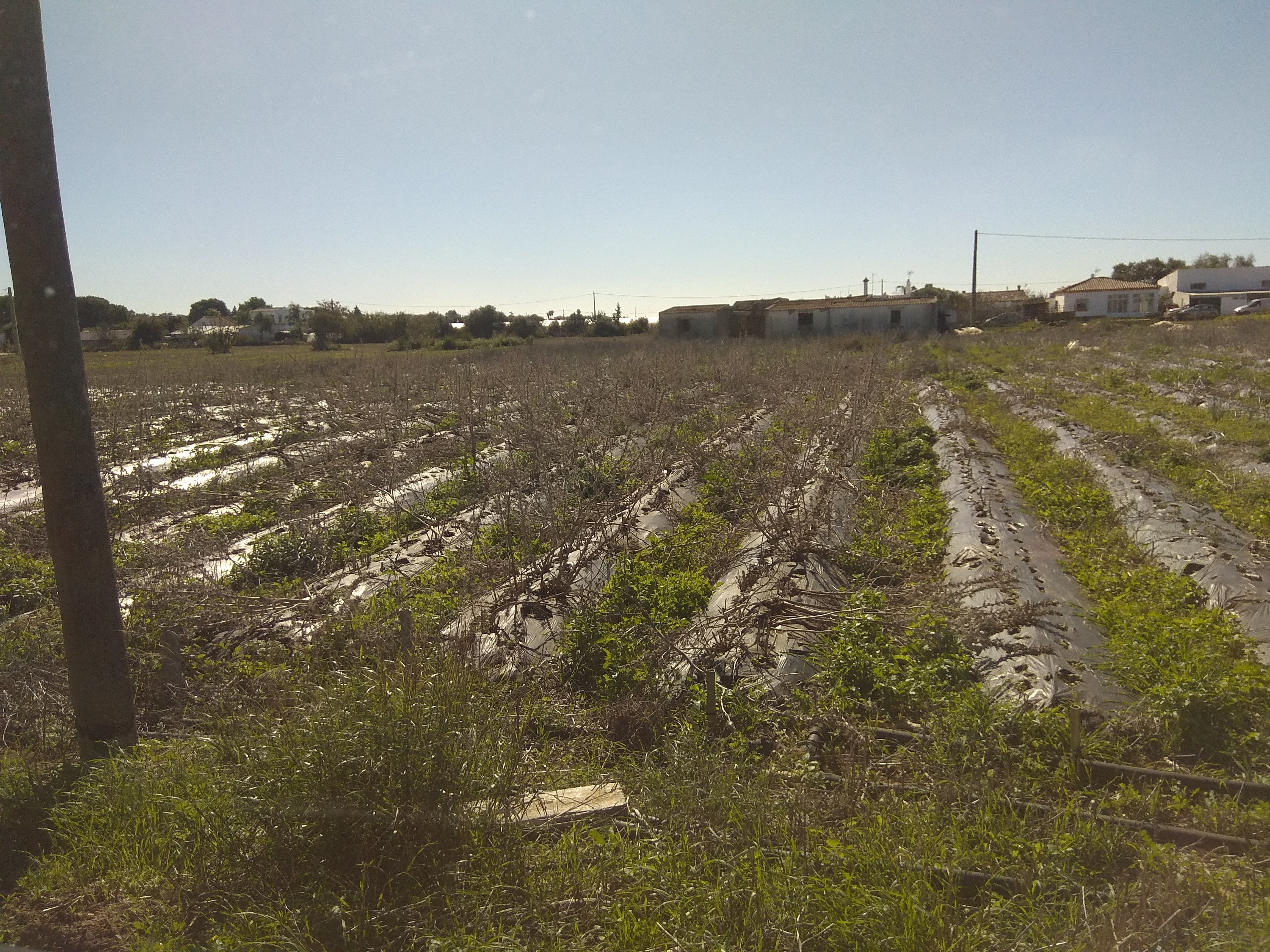 Land for sale in  Cádiz Capital