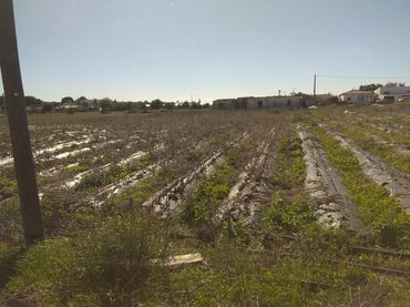 Rustikales Grundstück zum Verkauf in Paseo Marítimo - San José - La Laguna