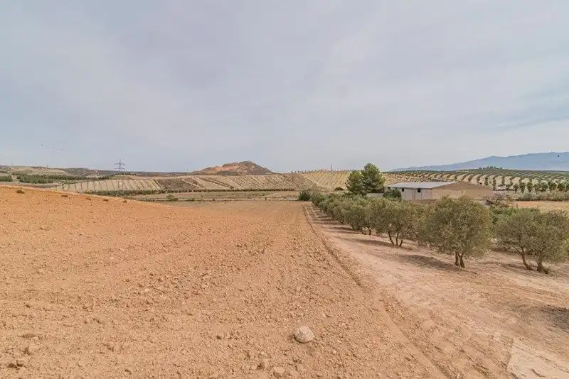 Rustikales Grundstück zum Verkauf in La Malahá, imagen 5