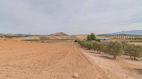 Photo 5 of Land for sale in La Malahá, Granada
