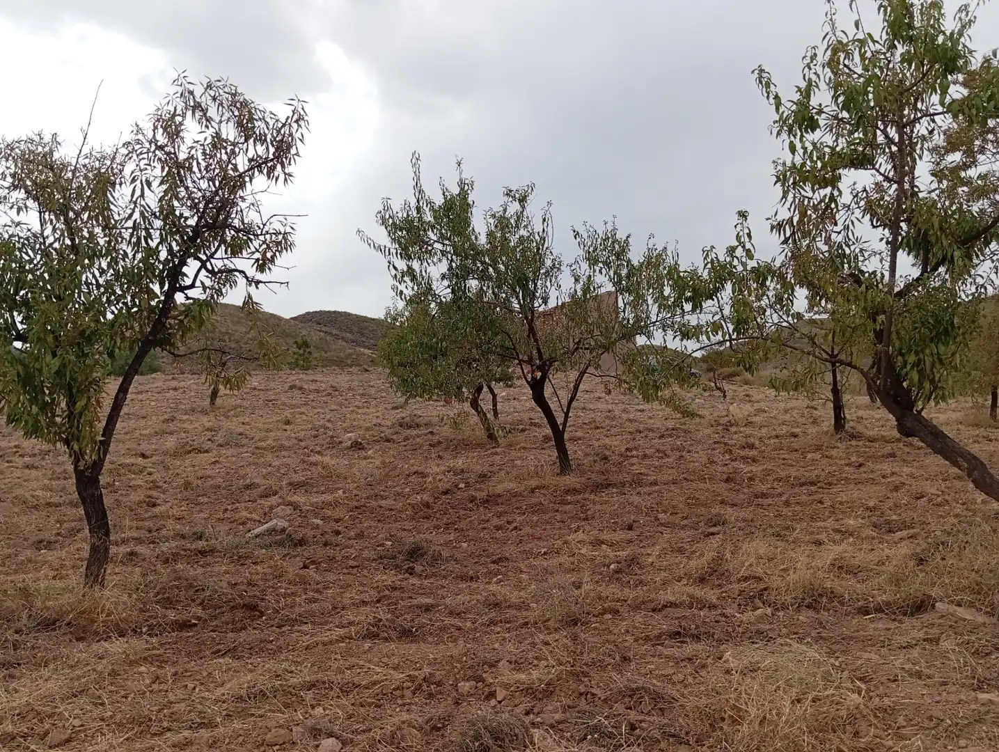 Terreni e lotti in vendita a Bolnuevo, imagen 5