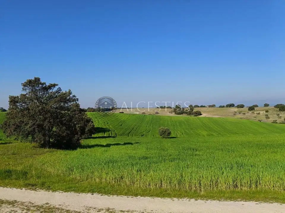 Terreni e lotti in vendita a Méntrida, imagen 16