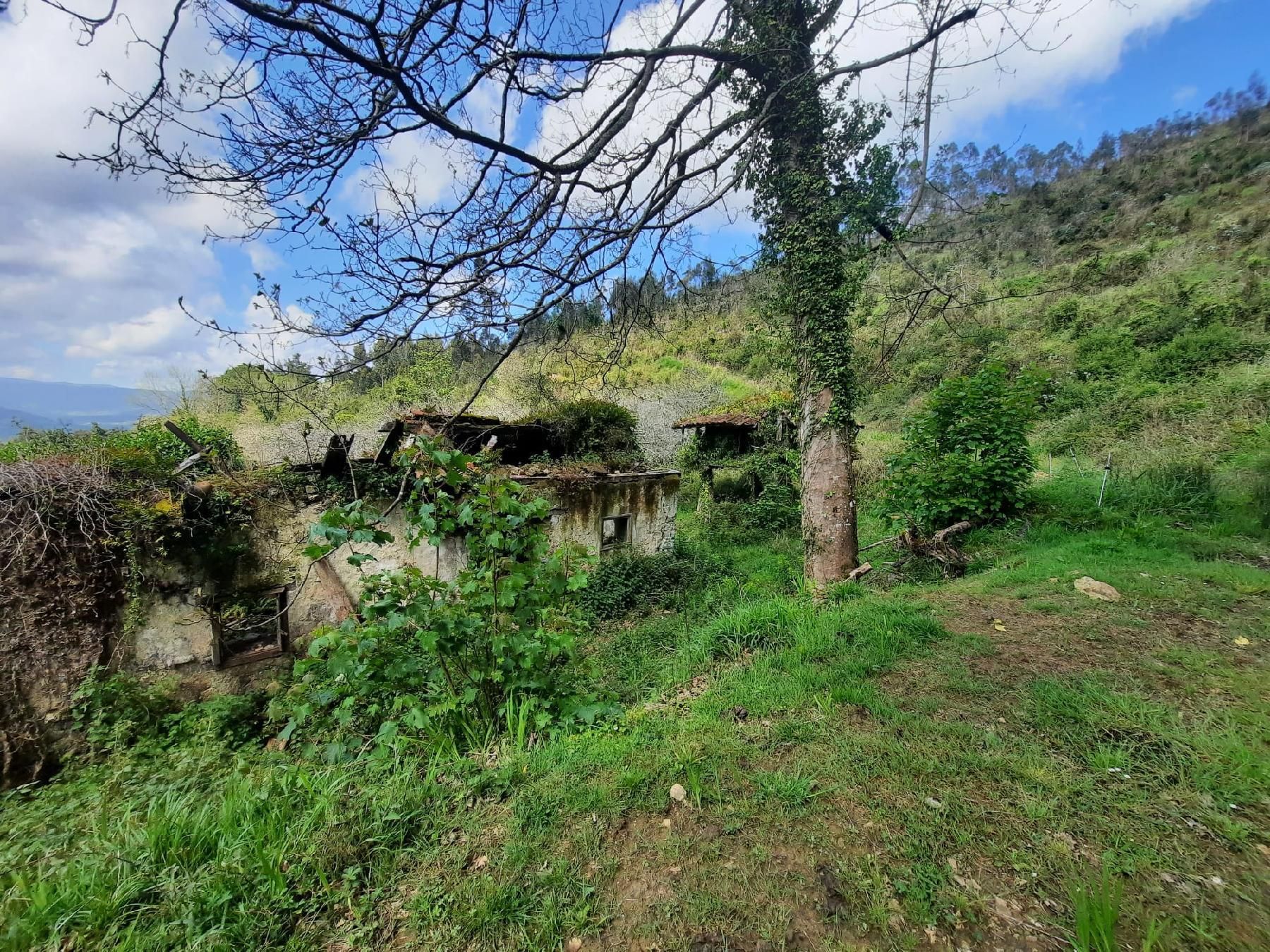 Casa o chalet en venta en Villaviciosa