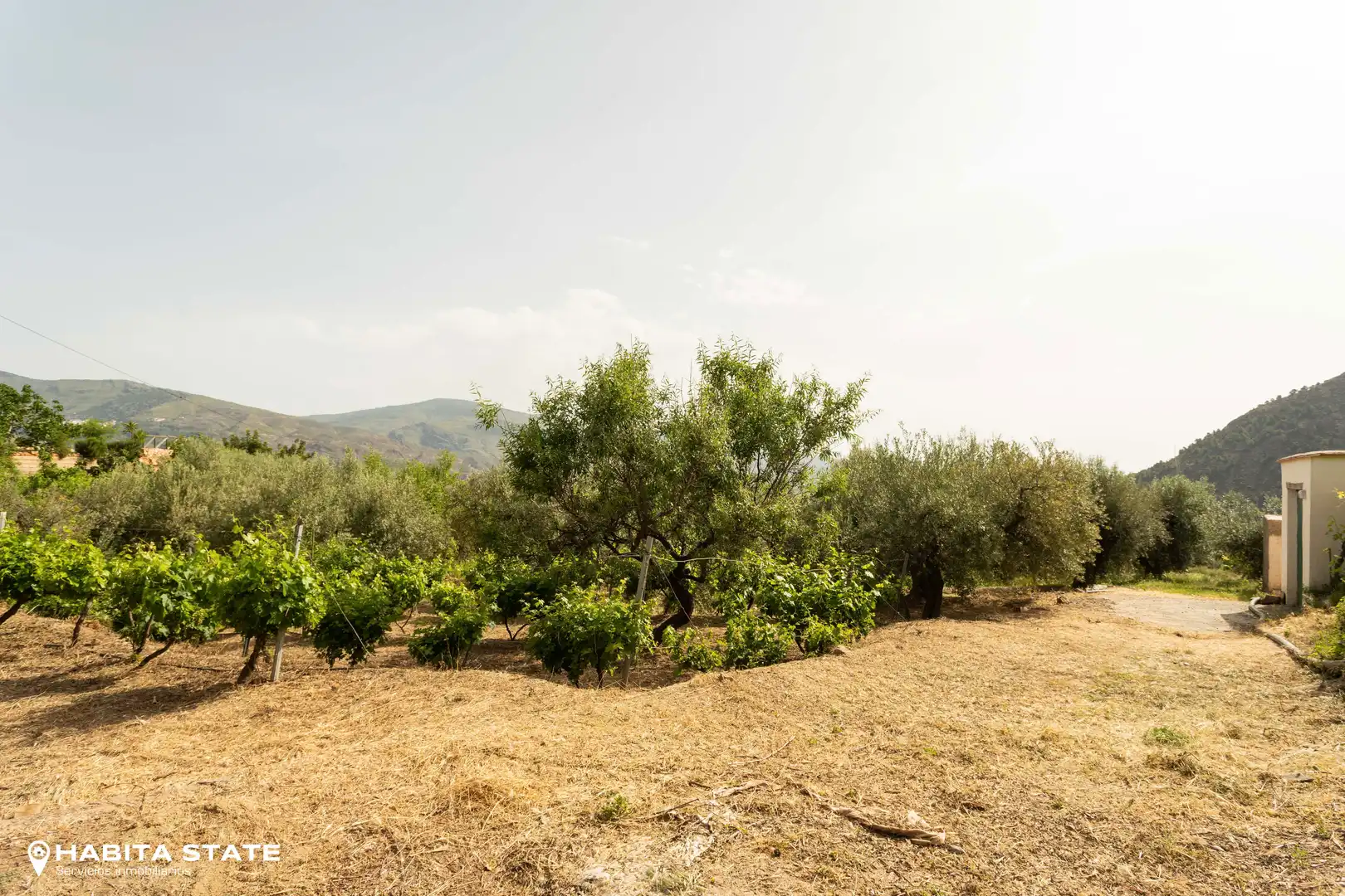 Finca rústica en venda en Canjáyar amb Jardí privat i Moblat