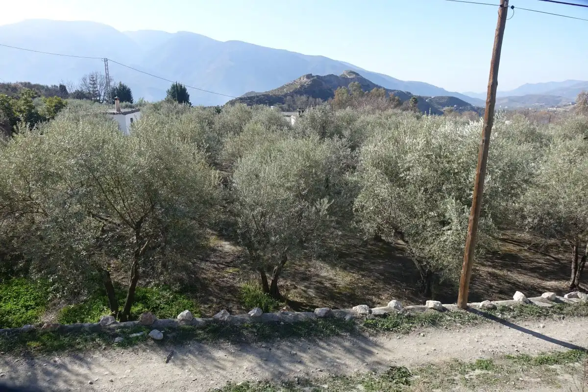Rural land for sale in Órgiva, imagen 3