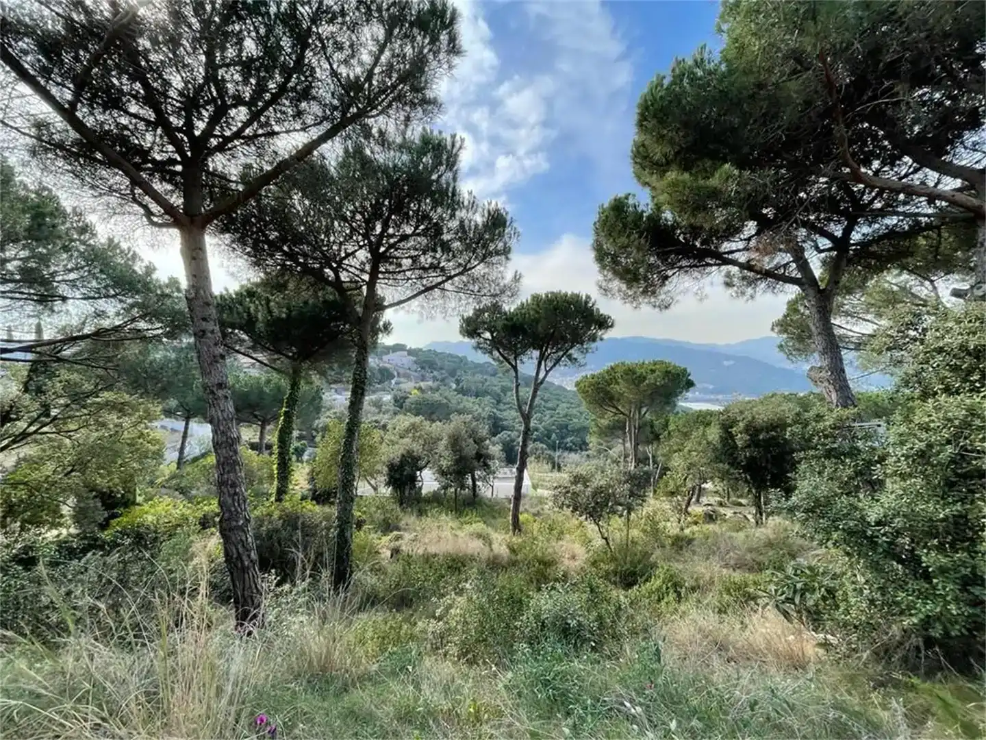 Finca rústica en venda en Mataró