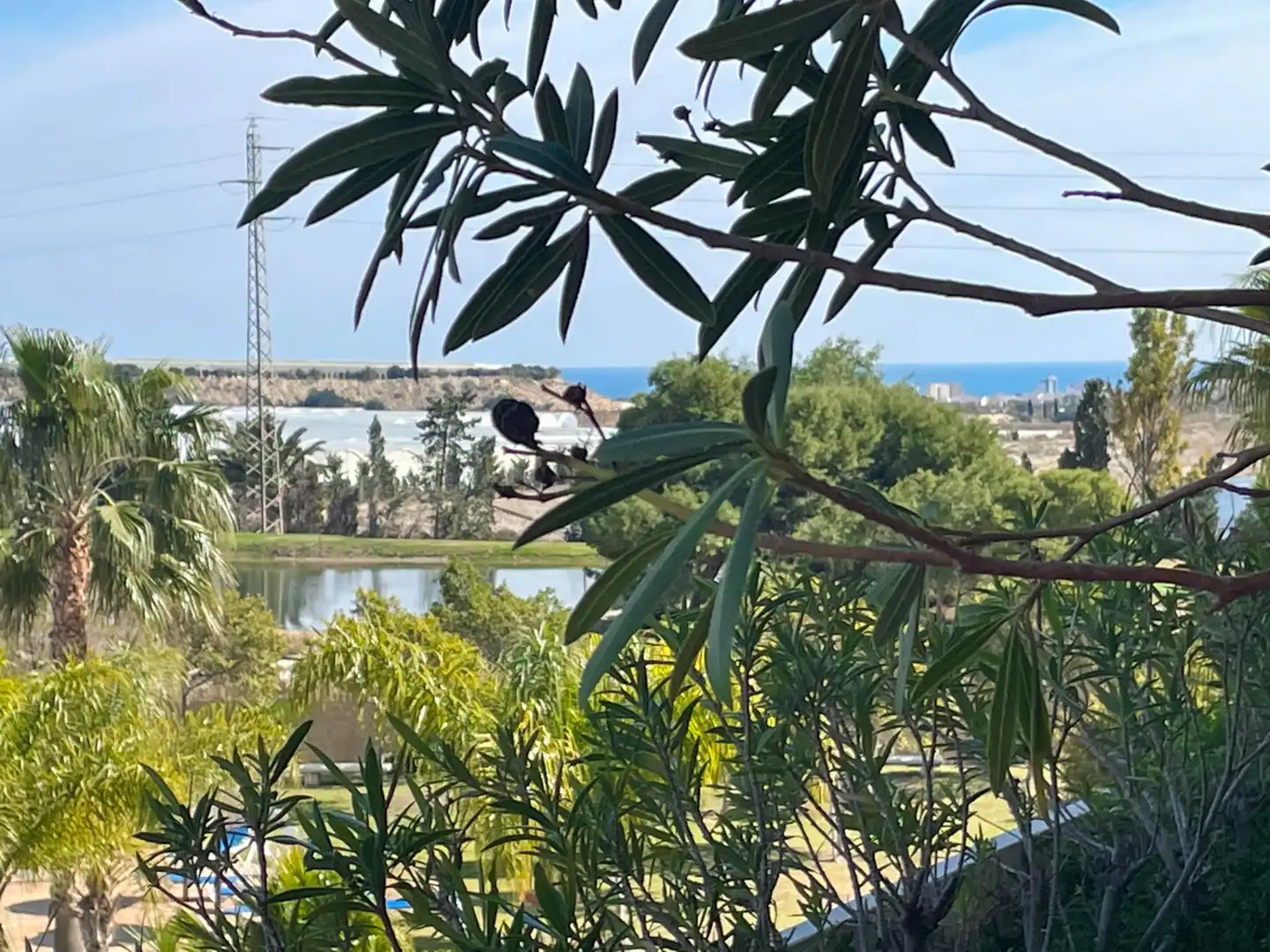 Vista exterior de Casa o chalet en venta en Mutxamel con Aire acondicionado, Jardín privado y Parquet