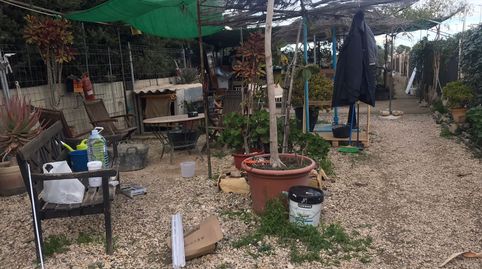 Foto 2 de Terreny en venda a Calle Alcalde José Verdú Forner, Centro, Mutxamel