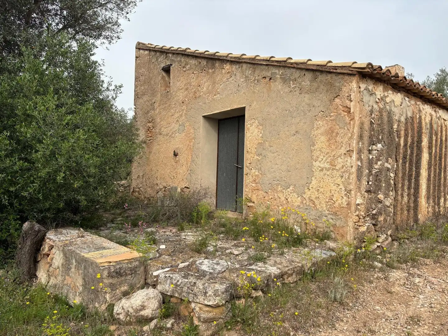 Locale commerciale in vendita a Xerta, imagen 23