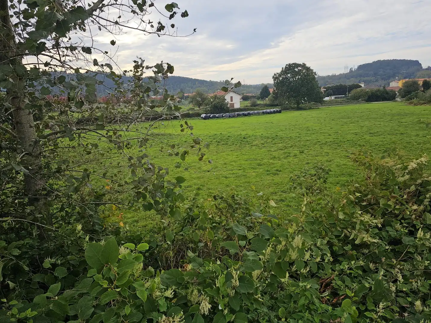 Terreni e lotti in vendita a Covadonga - Campuzano - Ciudad Vergel, imagen 5