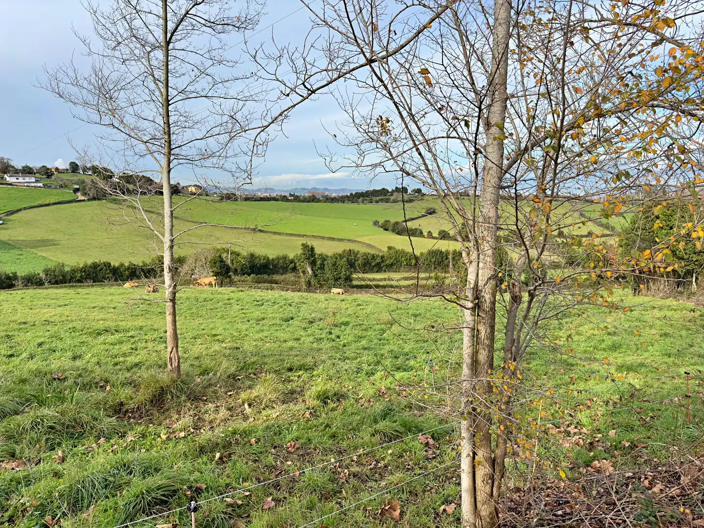 Terreno residenziale in vendita a Rural, imagen 16