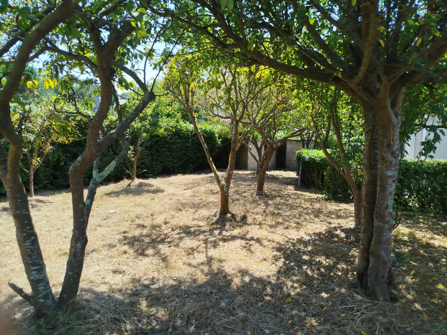 Casa o xalet en venda a Lugar de Rañobre, Oseiro