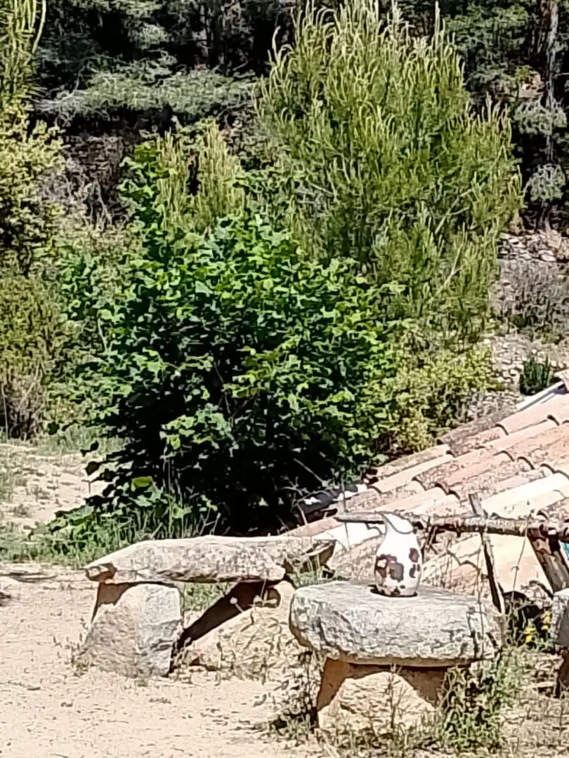 Terreni e lotti in affitto a Vilaplana, imagen 34