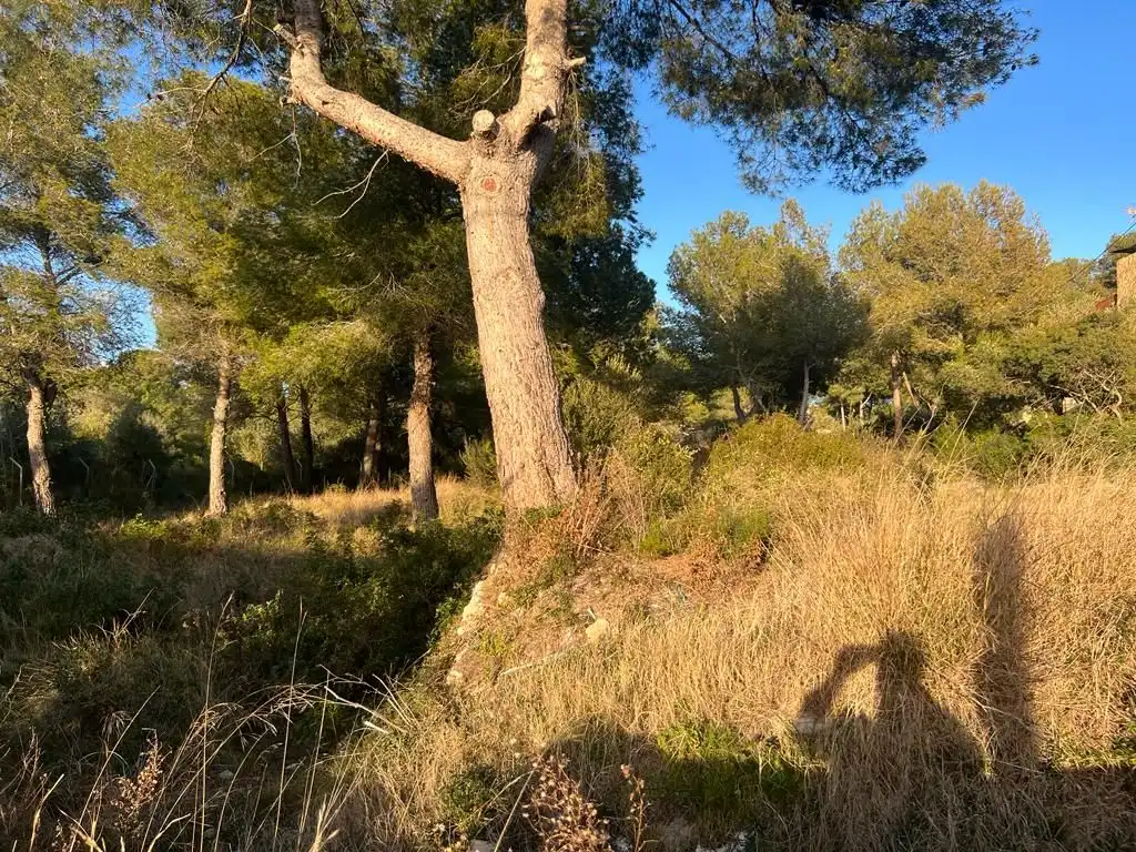Terreno en venta en Altafulla