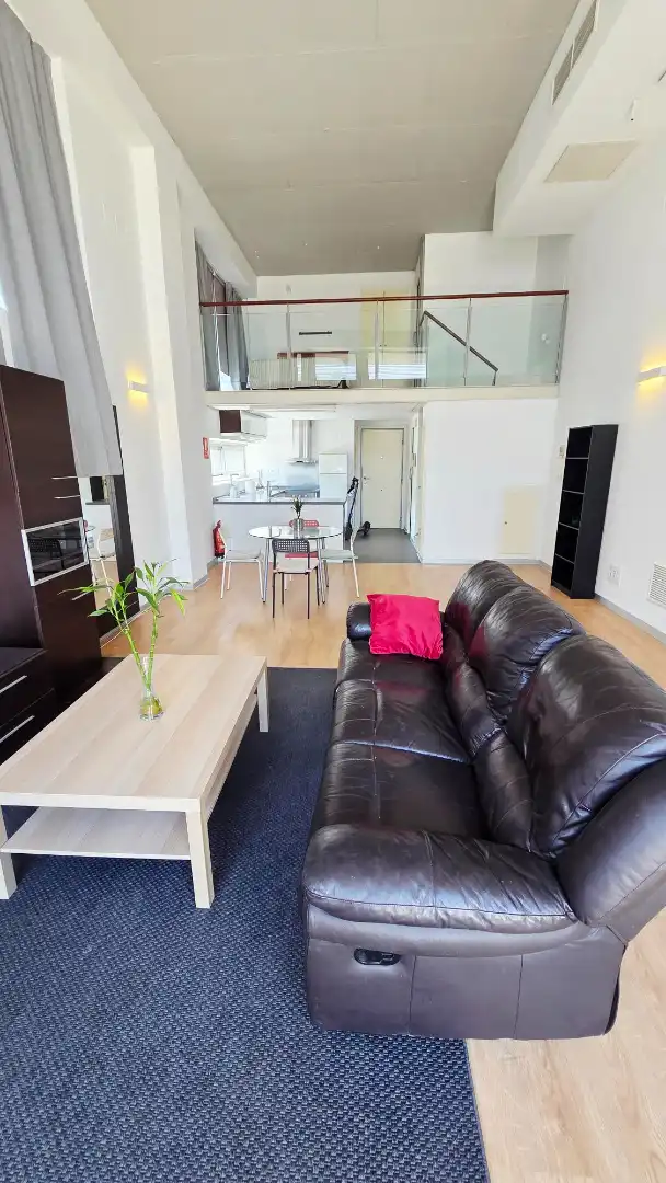 Lofts for sale in Carrer de la Creu Roja, Vara de Quart