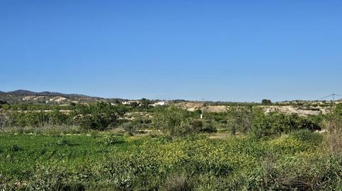 Foto 4 von Grundstücke zum Verkauf in Camino Paraje Los Garcias, Alquerías, Murcia Capital