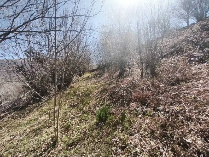 Terreni e lotti in vendita a Rionansa, imagen 16