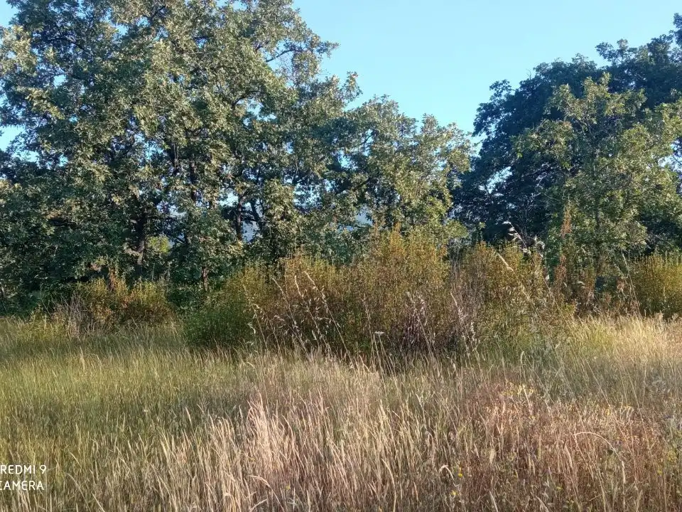 Terreno en venta en Robledillo de la Vera