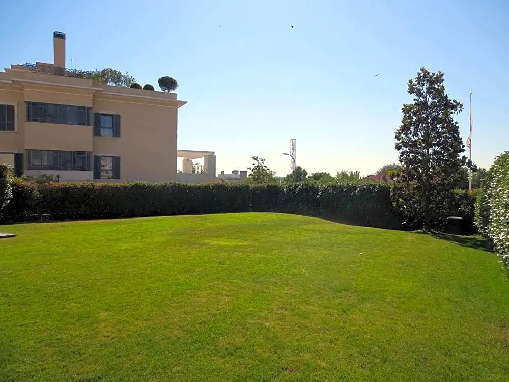 Jardín de Planta baja de alquiler en Madrid con Aire acondicionado, Calefacción y Jardín privado