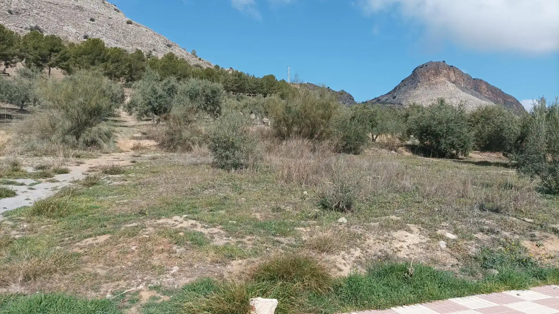 Finca rústica en venta en Atarfe