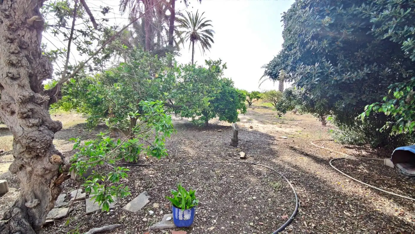 Villa con giardino in vendita a La Foia - Daimés - Asprella, imagen 7