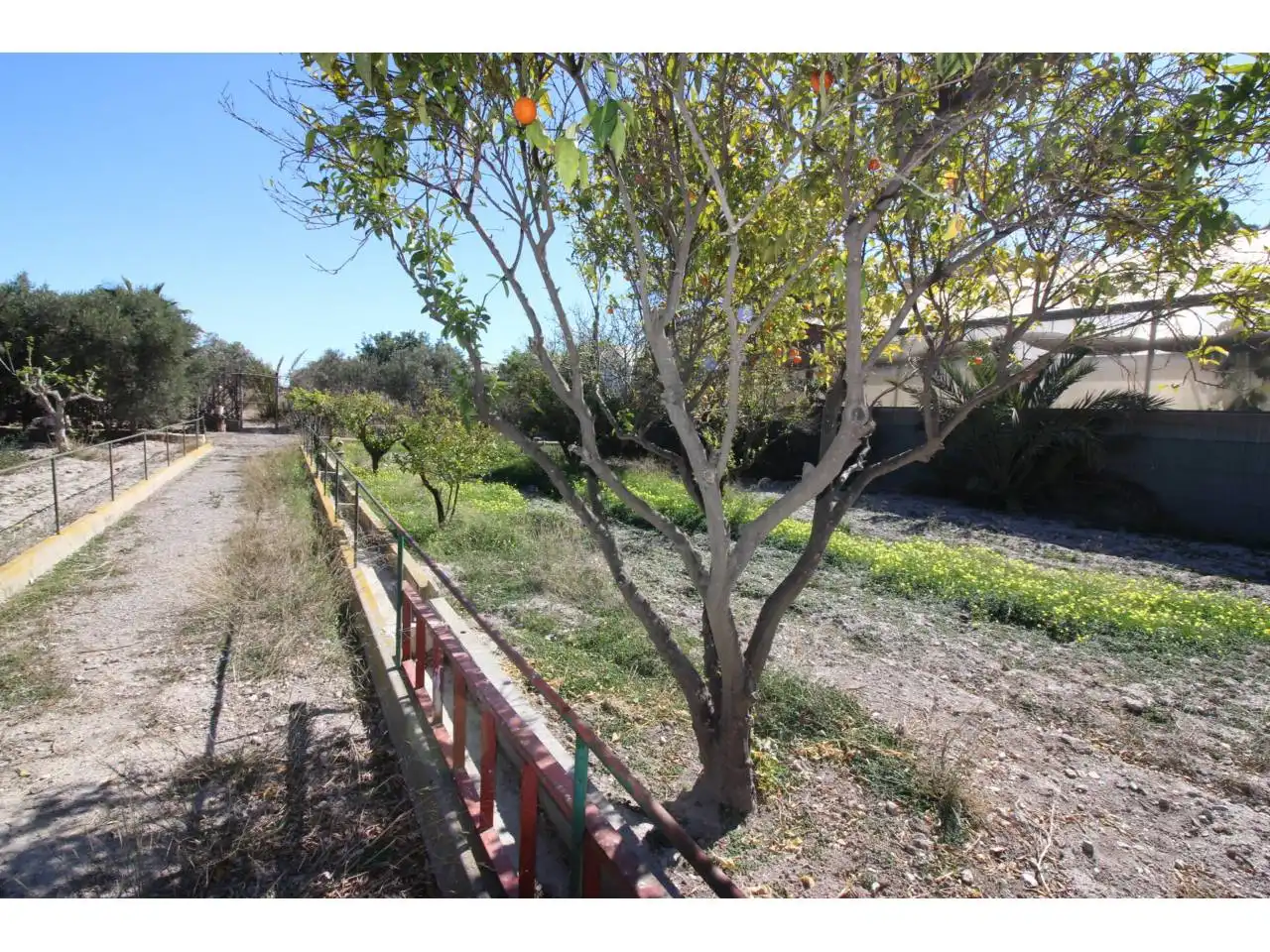 Terreno rustico in vendita a Carretera Alicún, imagen 32
