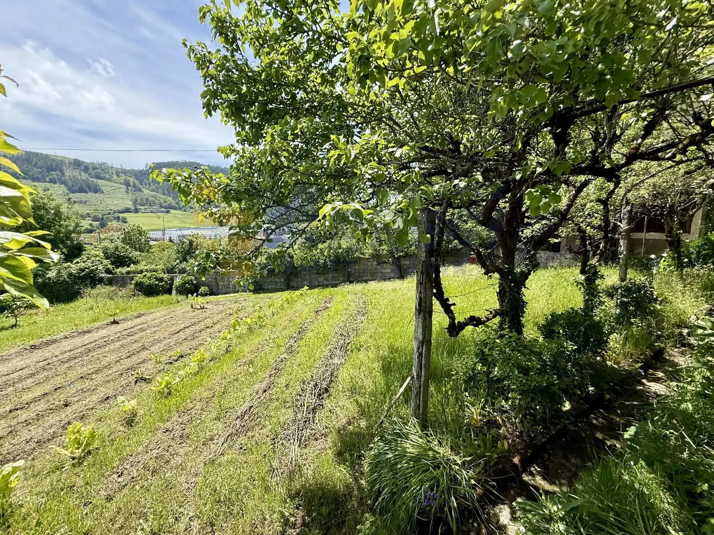 Houses for sale in Elgeta  with Private garden