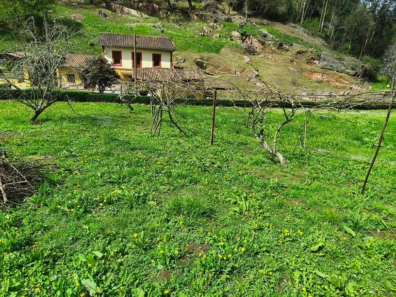 Terreno residencial en venta en Aldea Ferreras 24, imagen 4