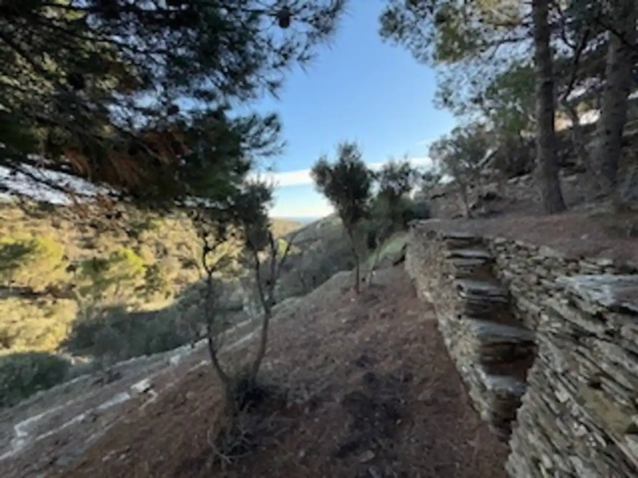 Rural land for sale in Cadaqués, imagen 5