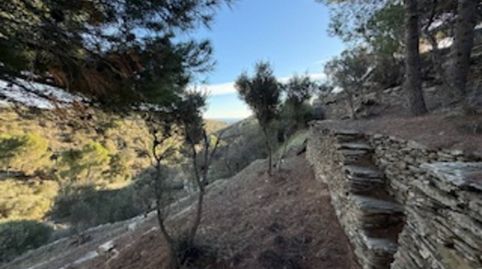 Terreno rústico en venta en Cadaqués, immagine 5