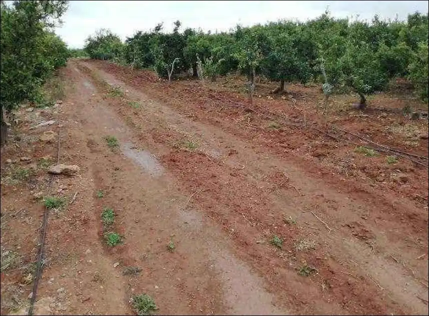 Grundstücke zum Verkauf in Betxí
