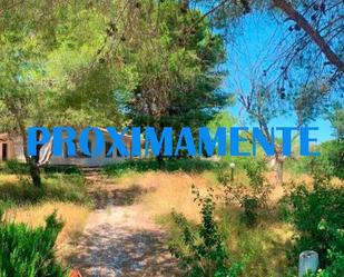 Casa o xalet en venda en Orihuela amb Jardí privat, Terrassa i Piscina