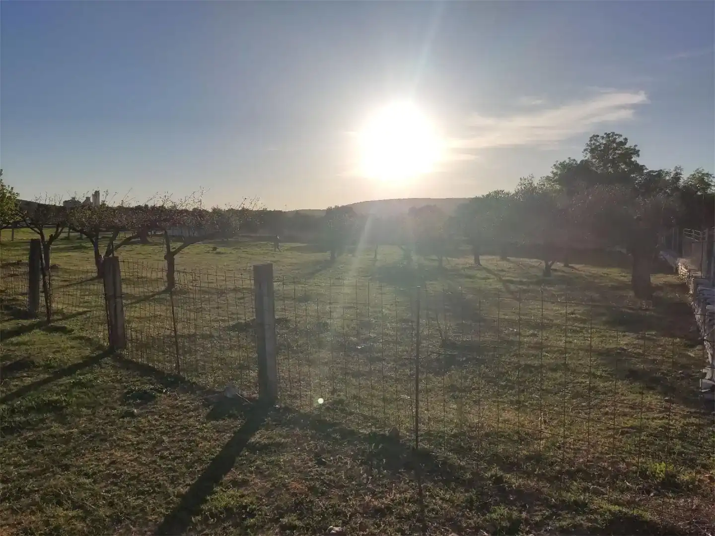 Terreno en venta en Alconera