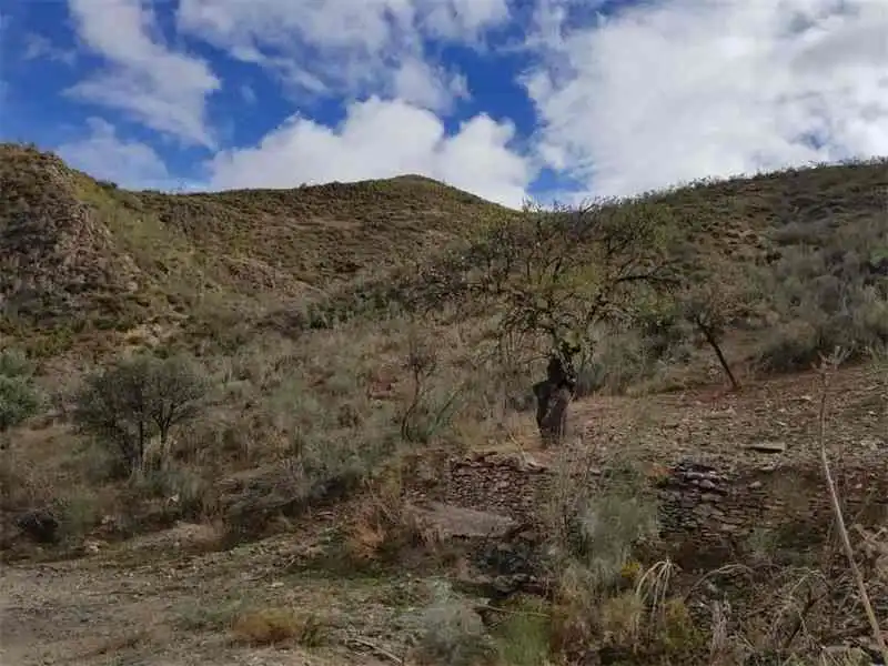 Grundstücke zum Verkauf in Albánchez